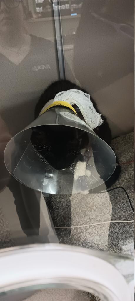 click for larger size