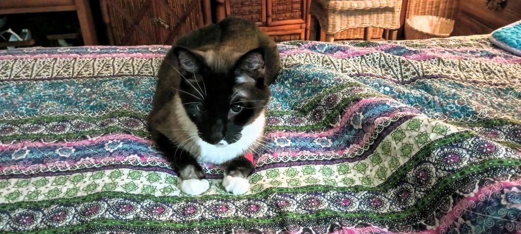 click for larger size