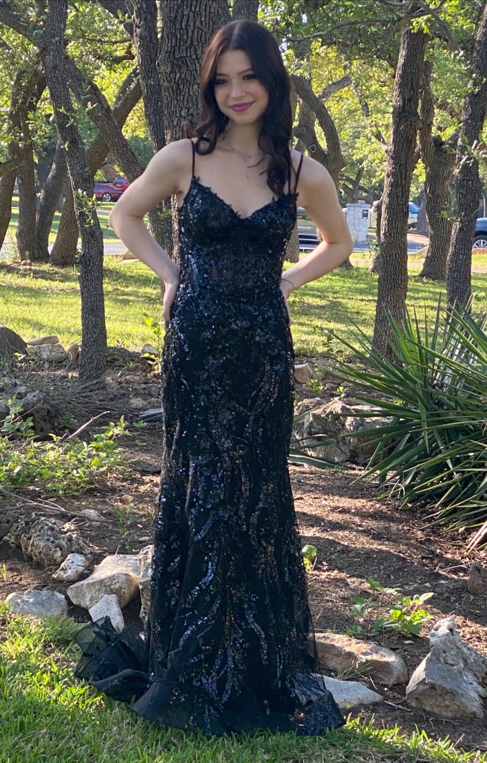 click for larger size