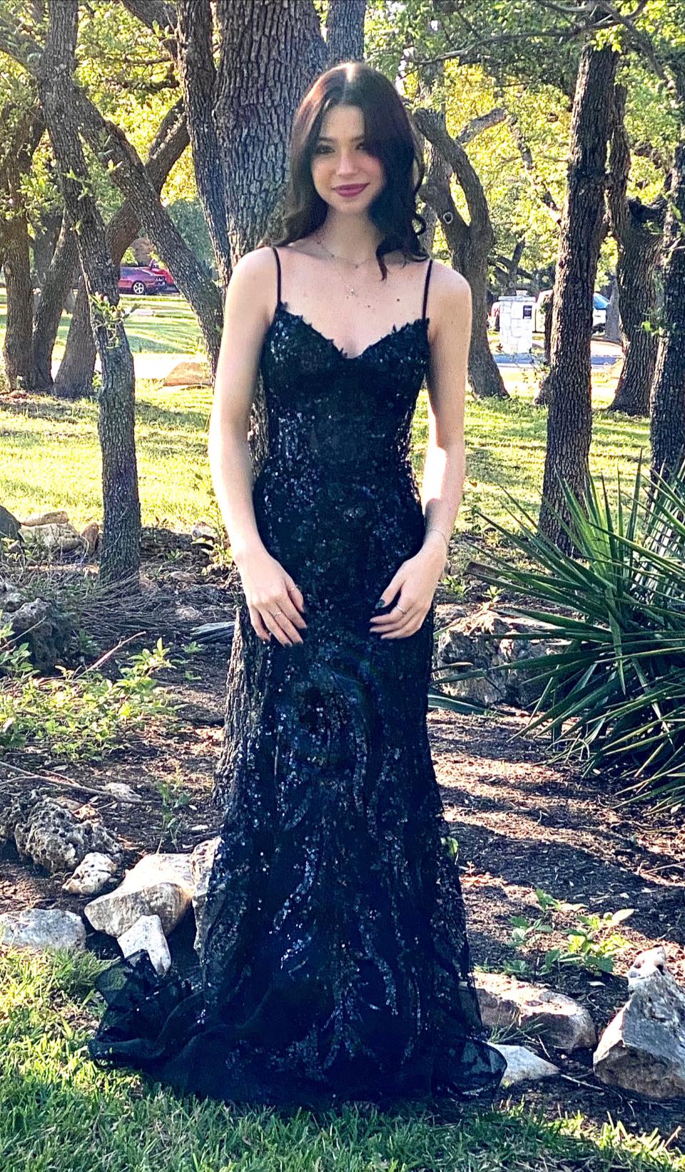 click for larger size