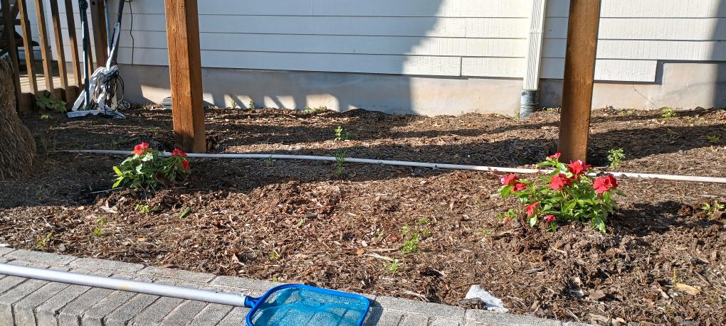 click for larger size