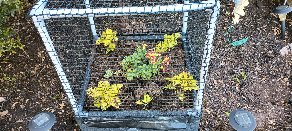 click for larger size