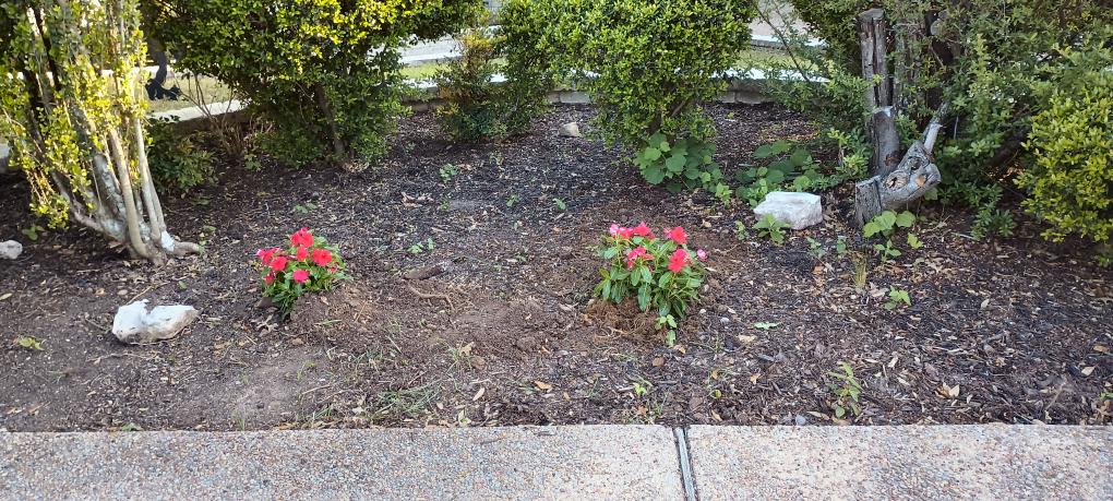 click for larger size