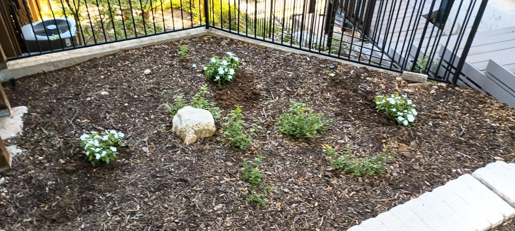 click for larger size