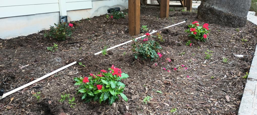 click for larger size