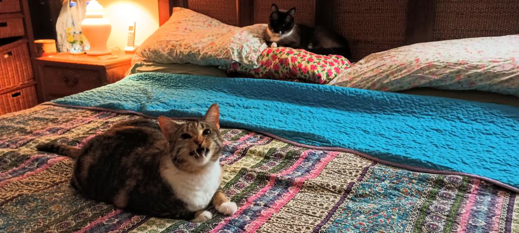 click for larger size