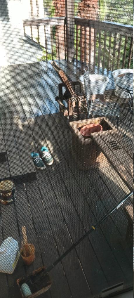 click for larger size