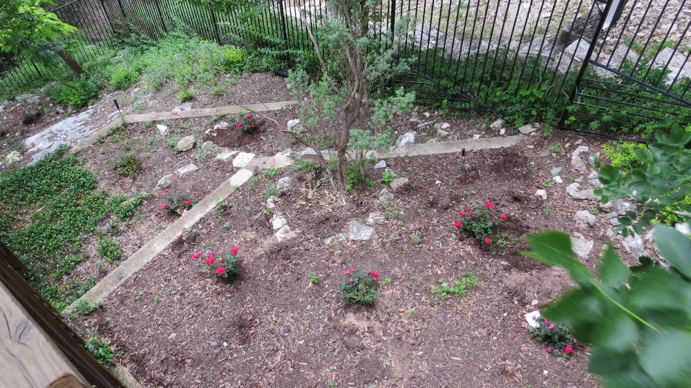 click for larger size