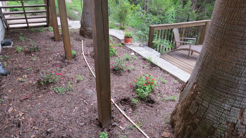 click for larger size