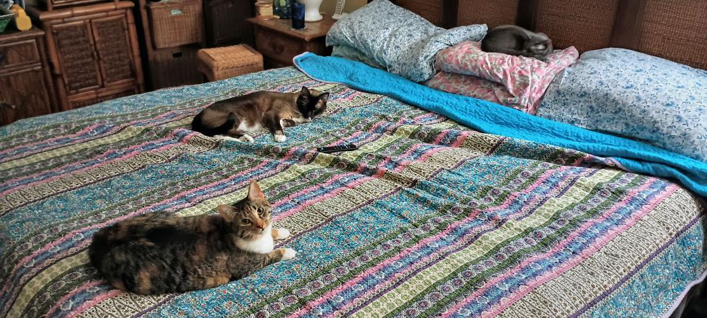 click for larger size