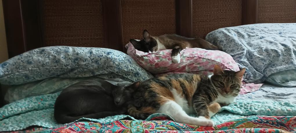 click for larger size