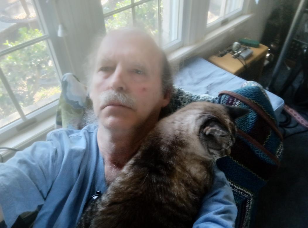 click for larger size