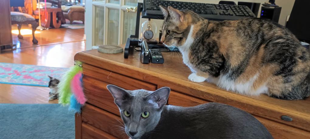 click for larger size