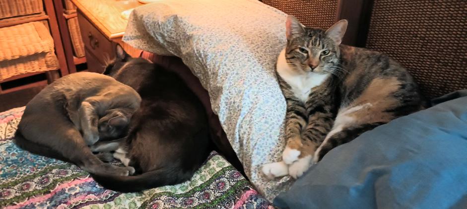 click for larger size