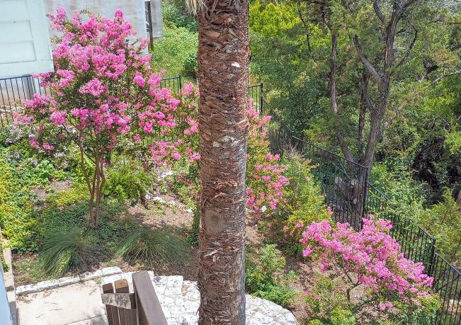 click for larger size