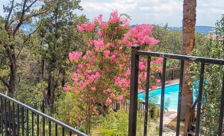 click for larger size