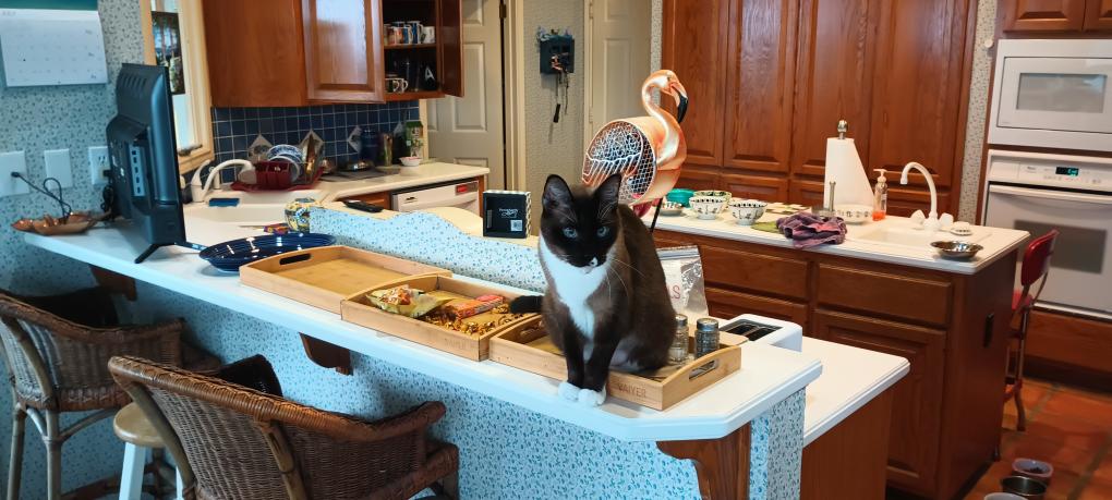 click for larger size