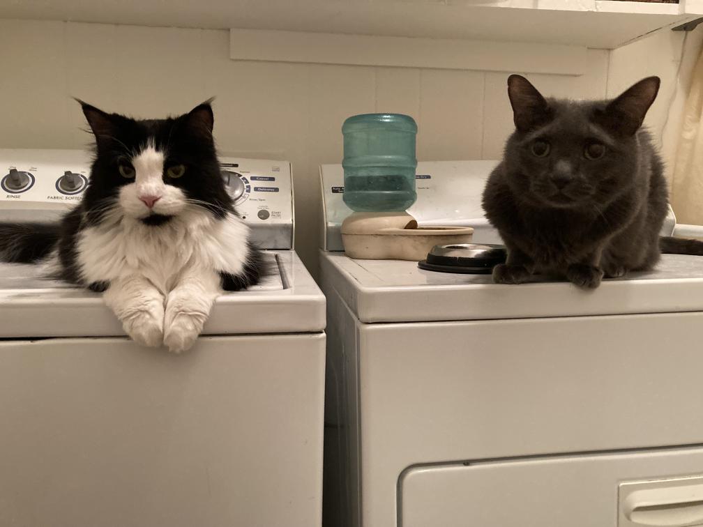 click for larger size