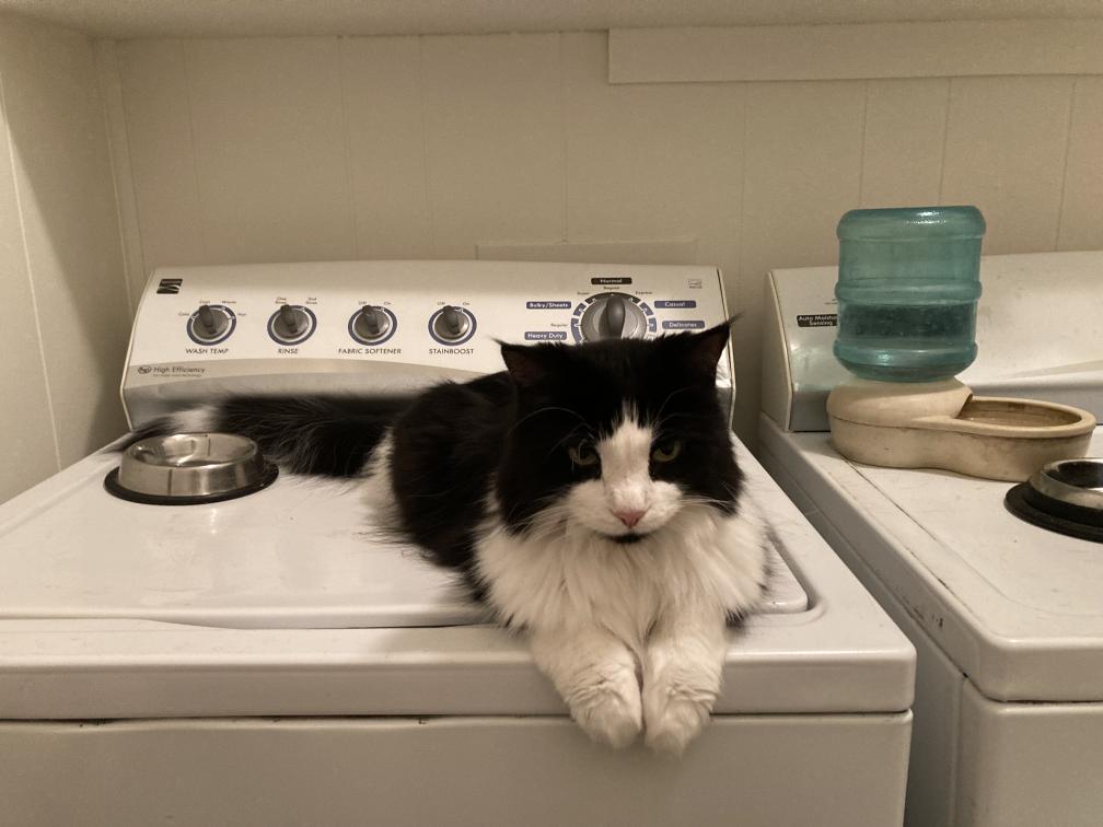 click for larger size