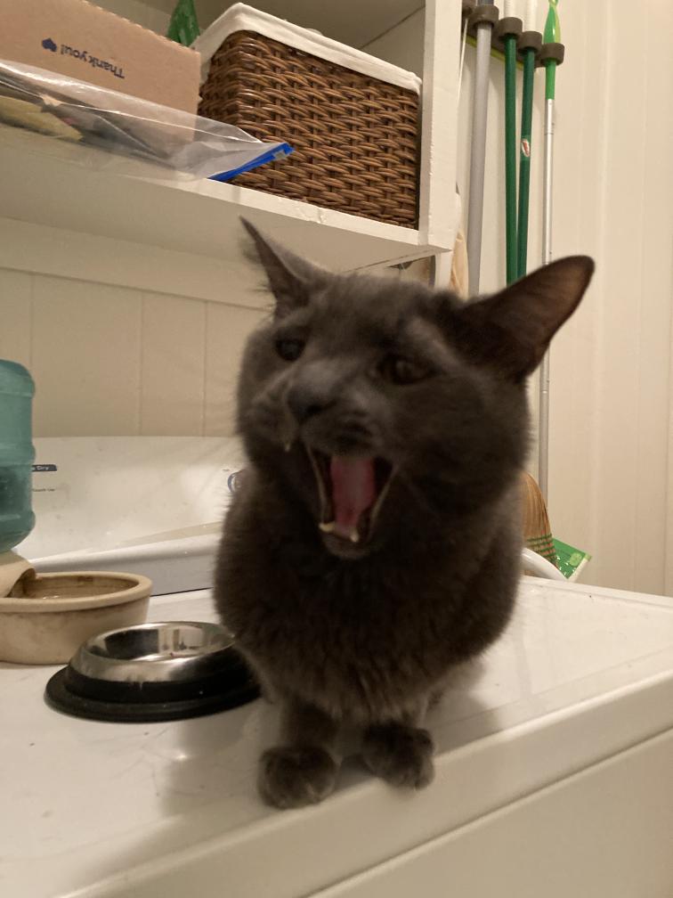 click for larger size