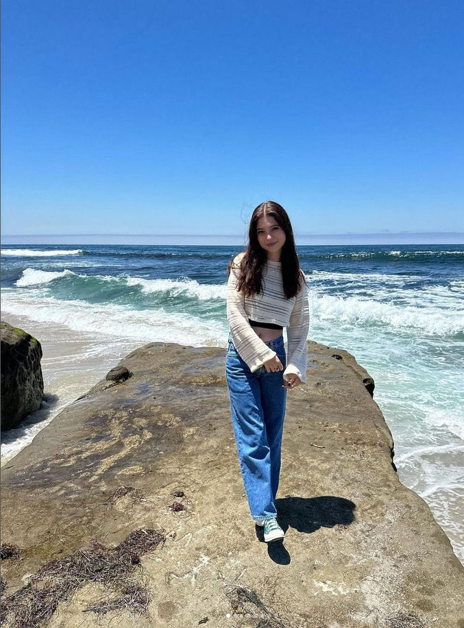 click for larger size