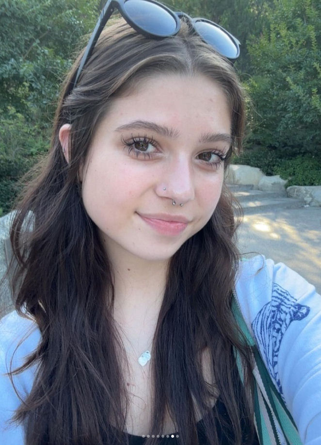 click for larger size