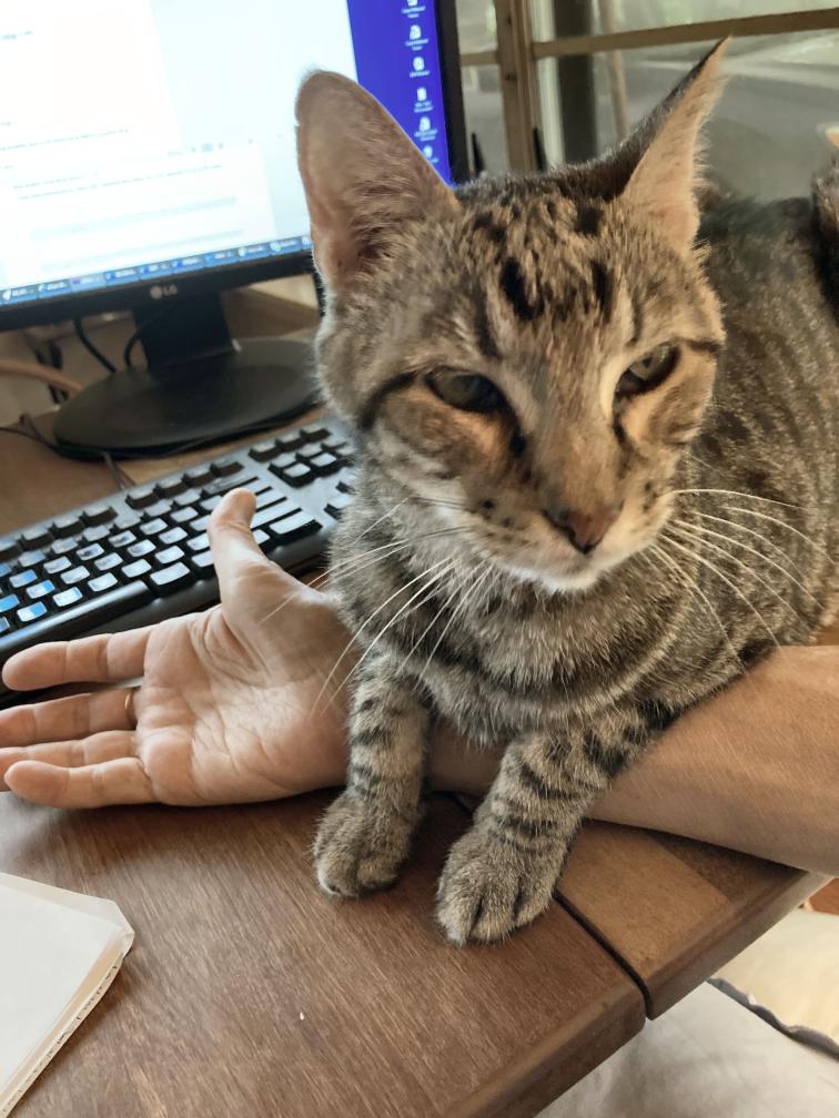 click for larger size