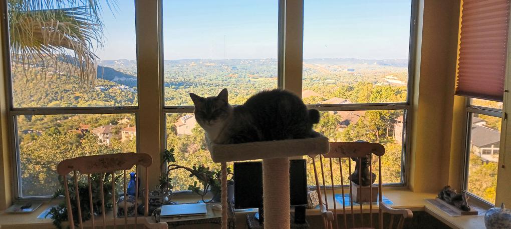 click for larger size