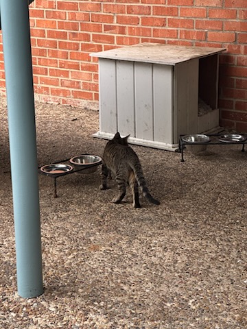 click for larger size