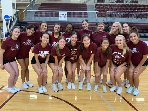 click for larger size