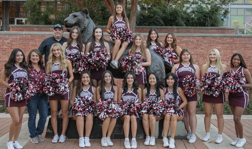 click for larger size