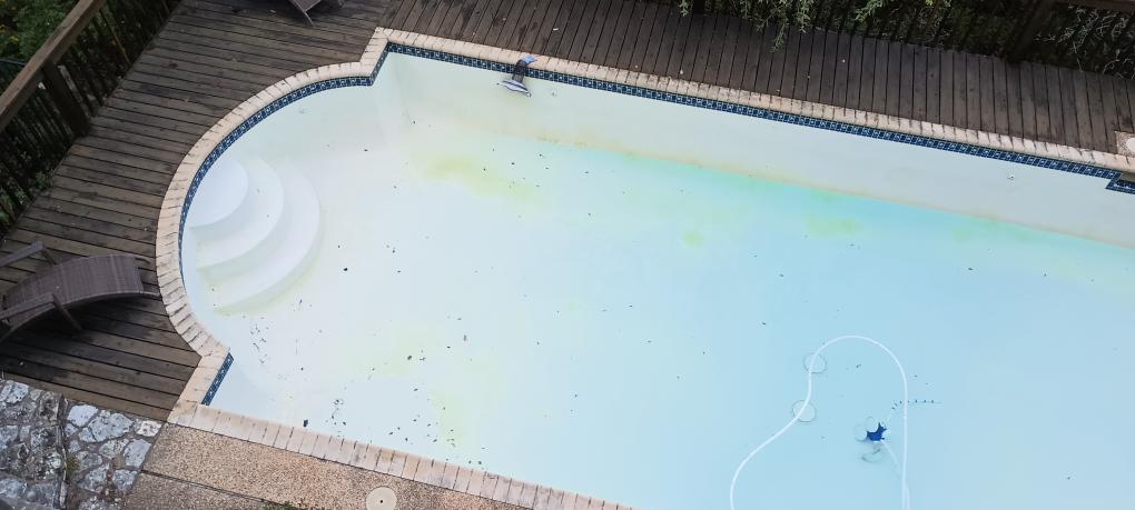 click for larger size