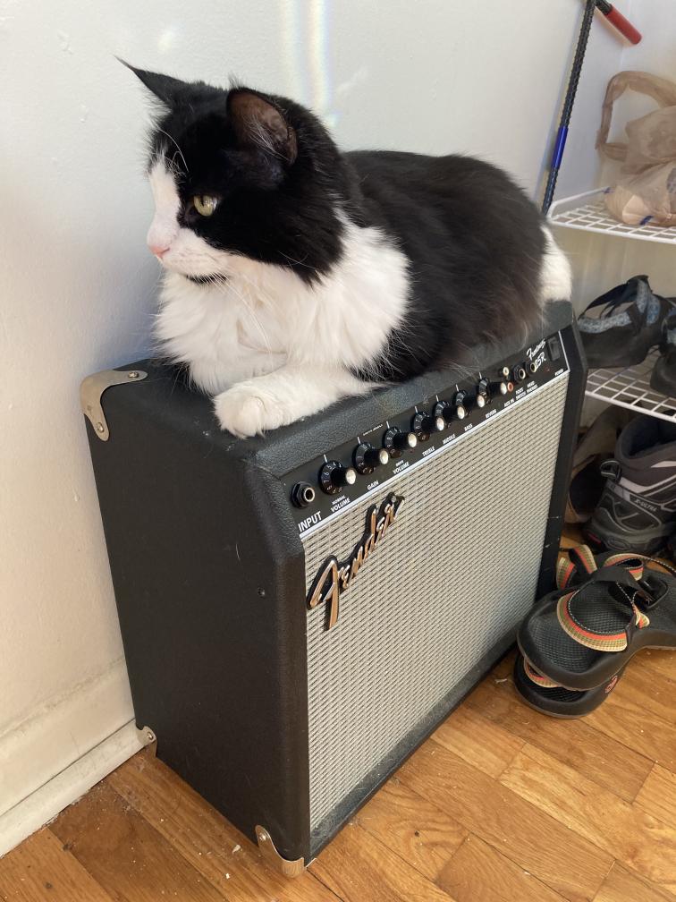 click for larger size