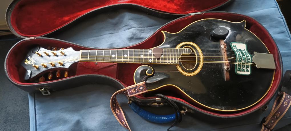 click for larger size