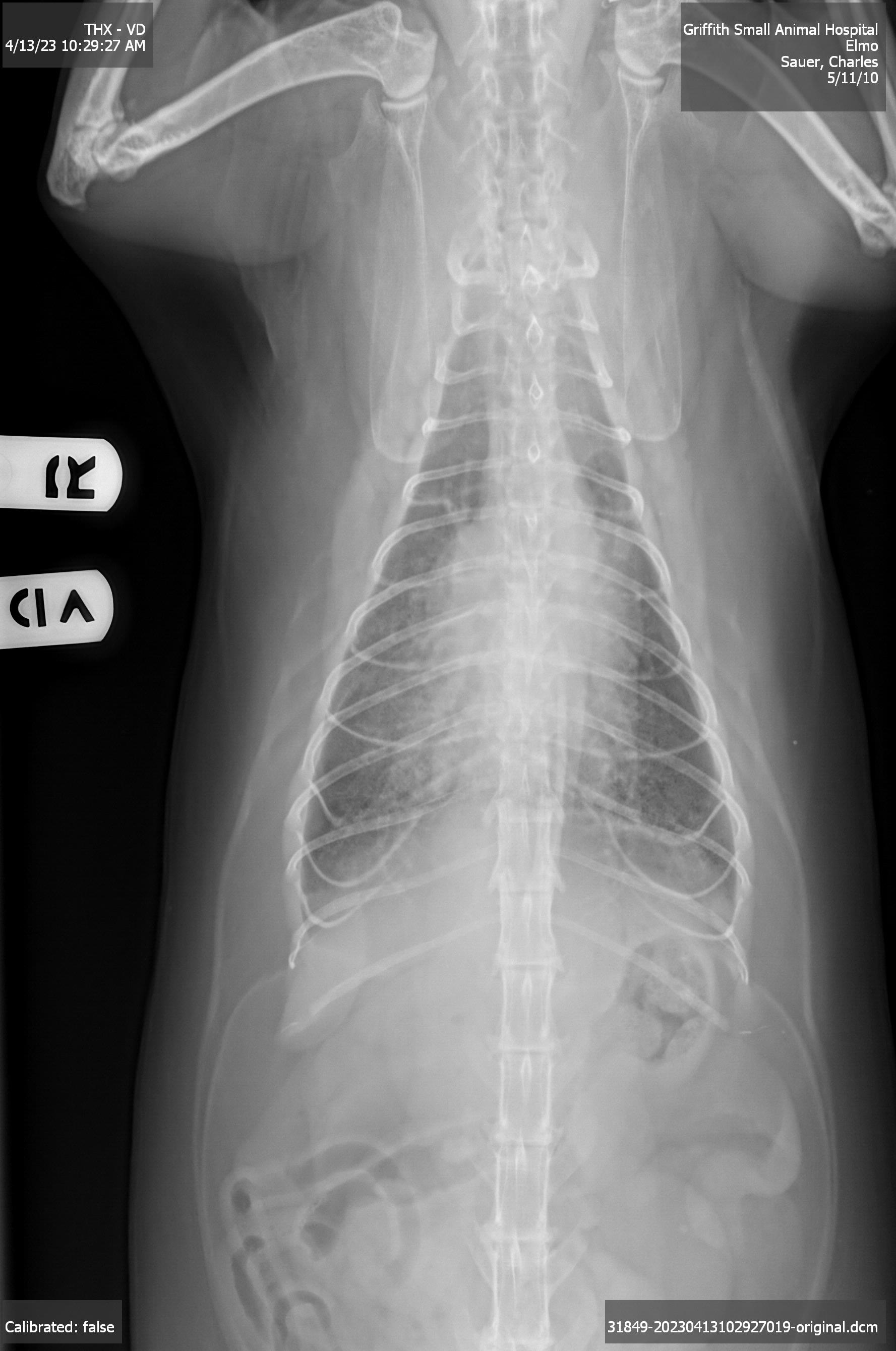 click for larger size