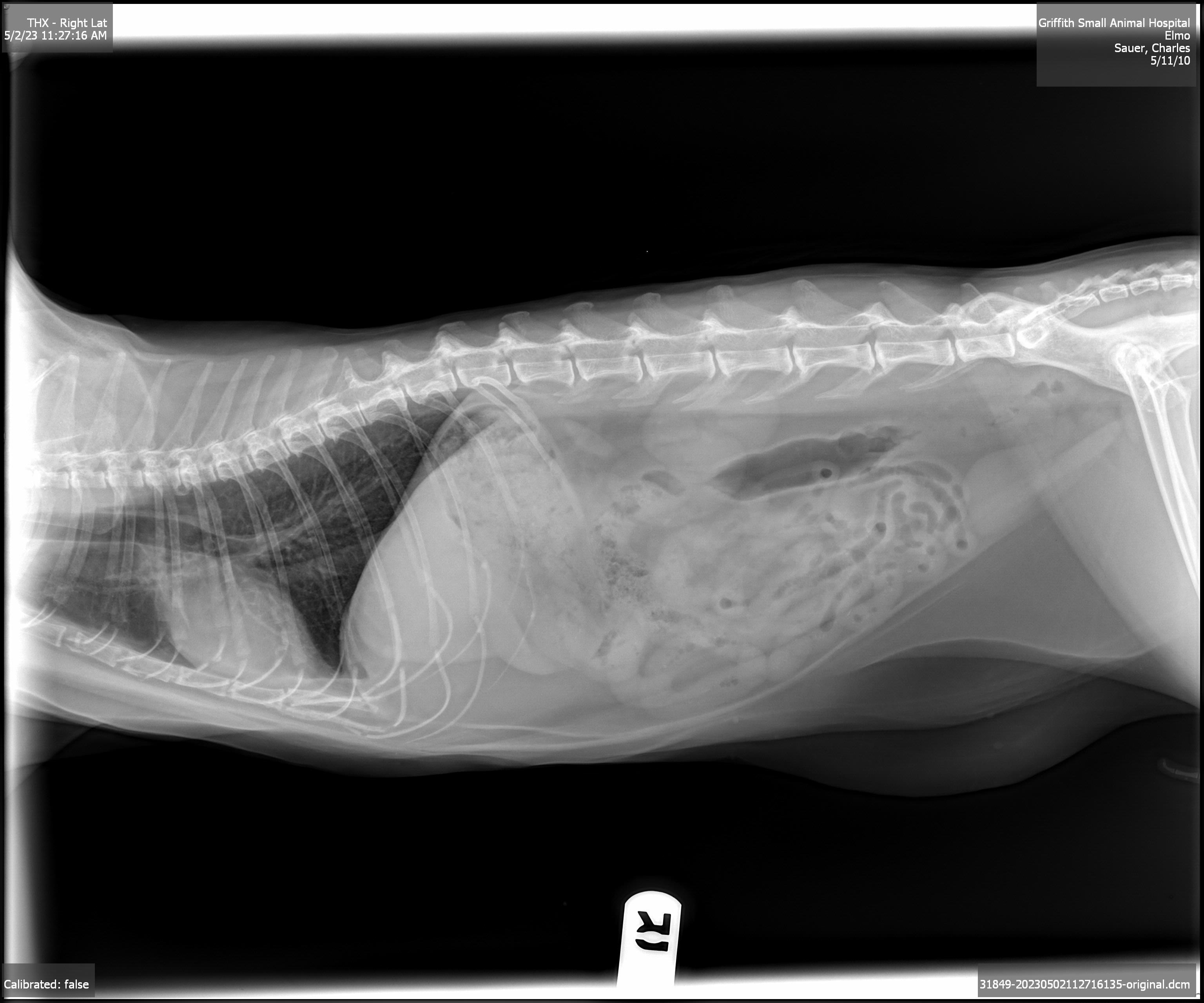 click for larger size