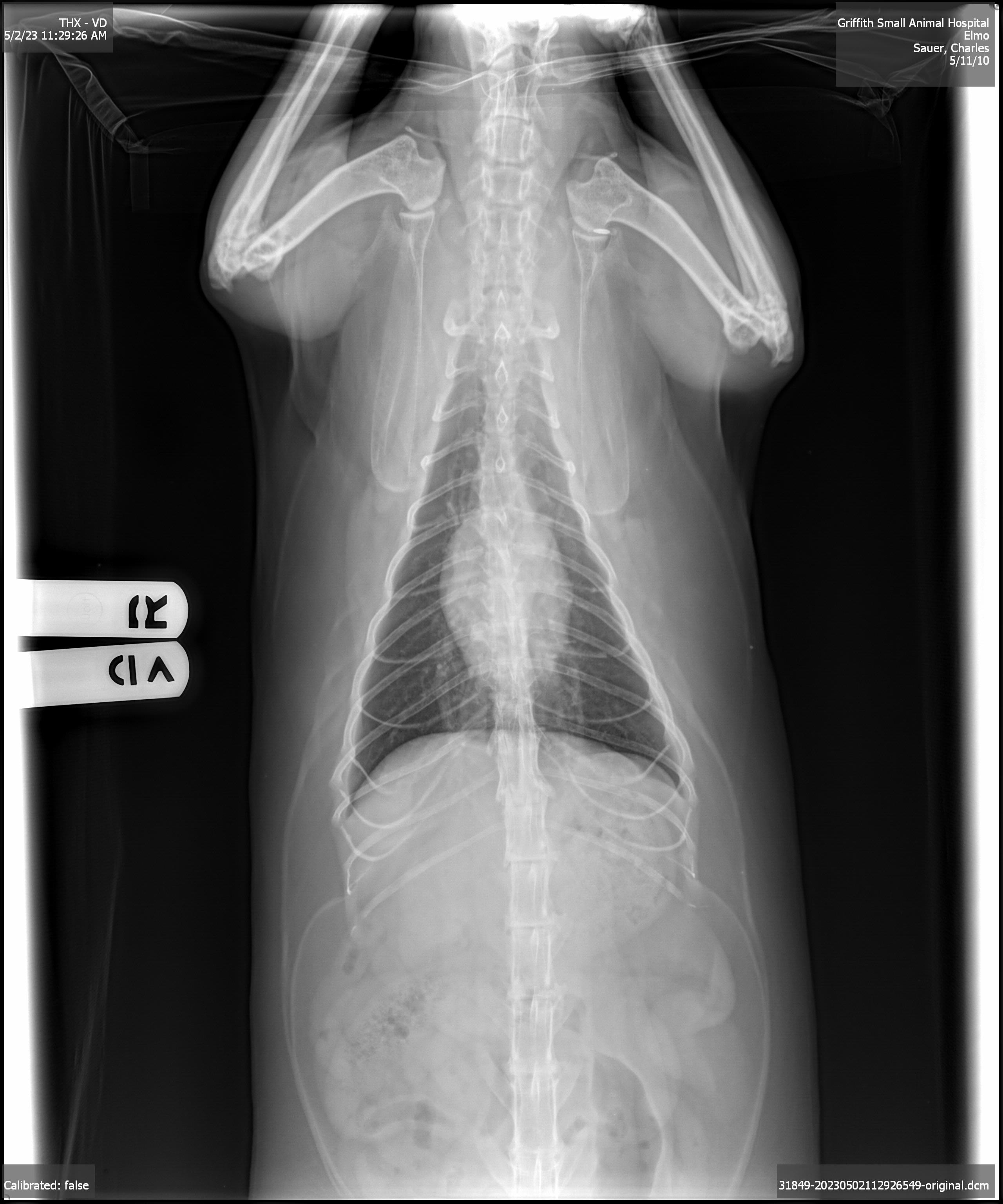 click for larger size