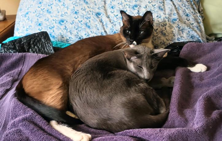 click for larger size