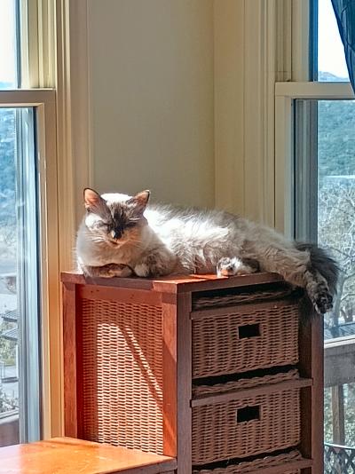 click for larger size