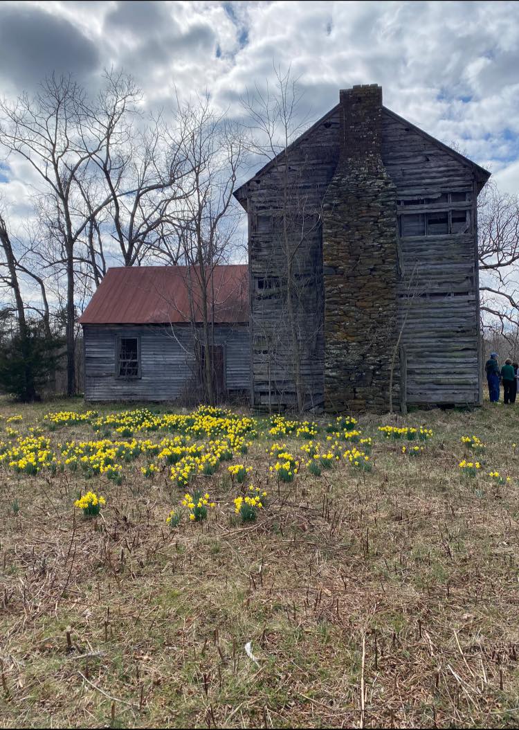 click for larger size