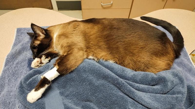 click for larger size