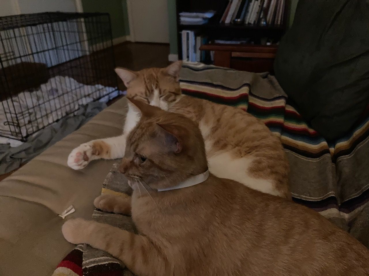 click for larger size