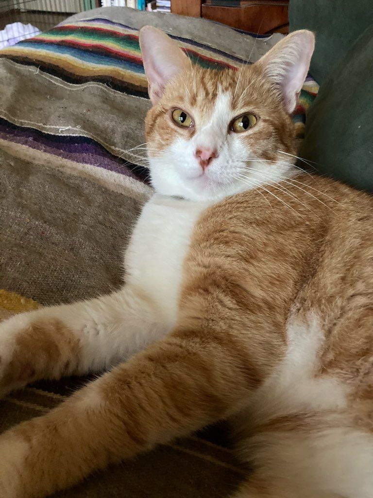 click for larger size