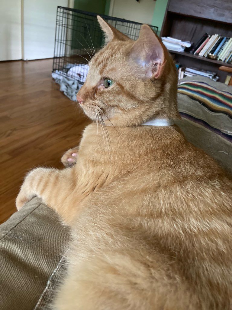 click for larger size