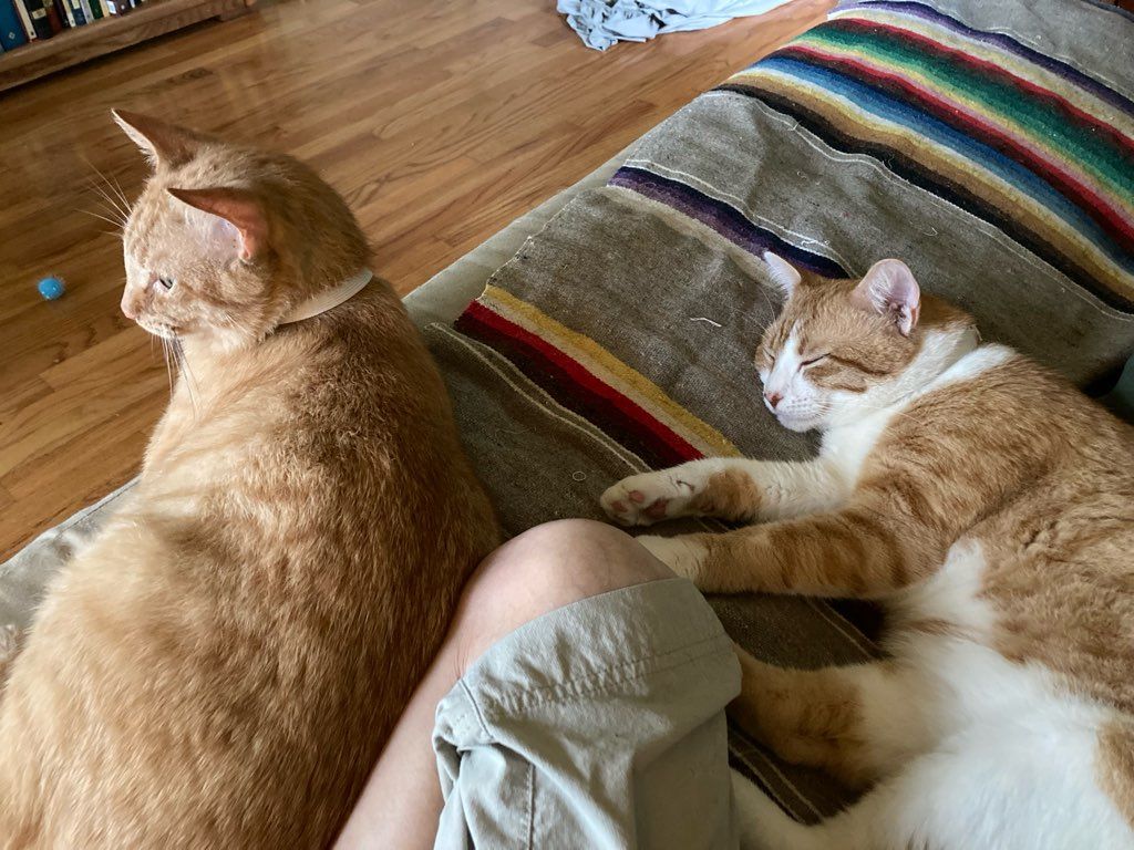 click for larger size