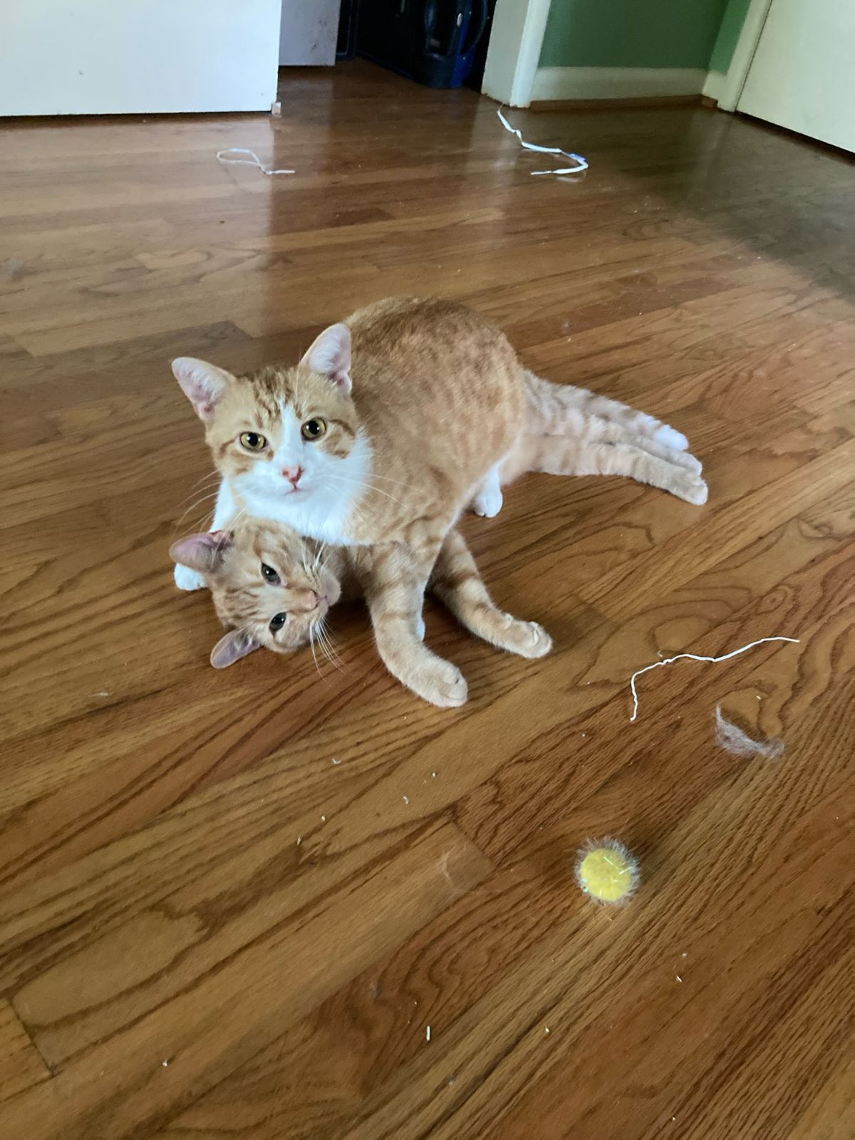 click for larger size