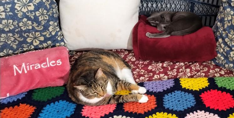 click for larger size