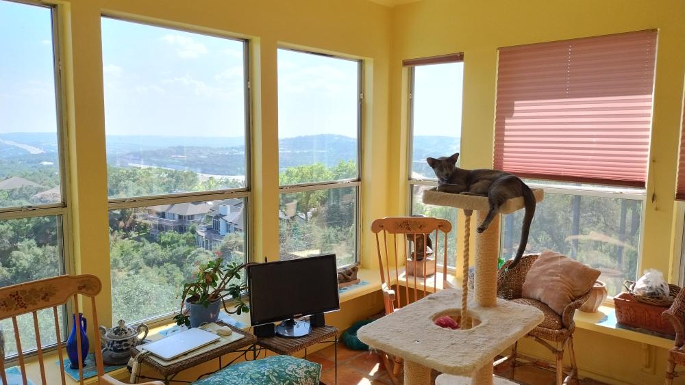 click for larger size