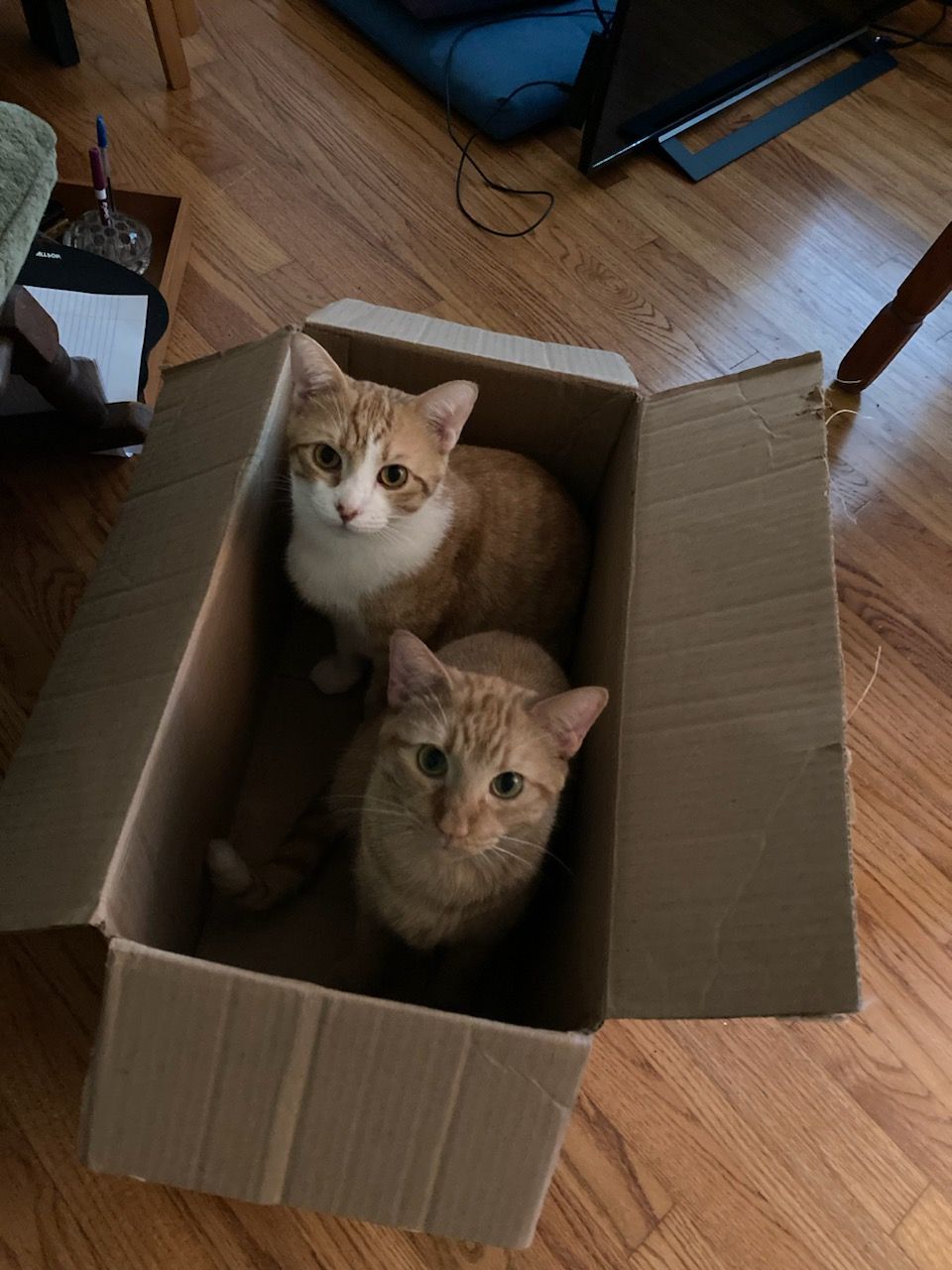 click for larger size