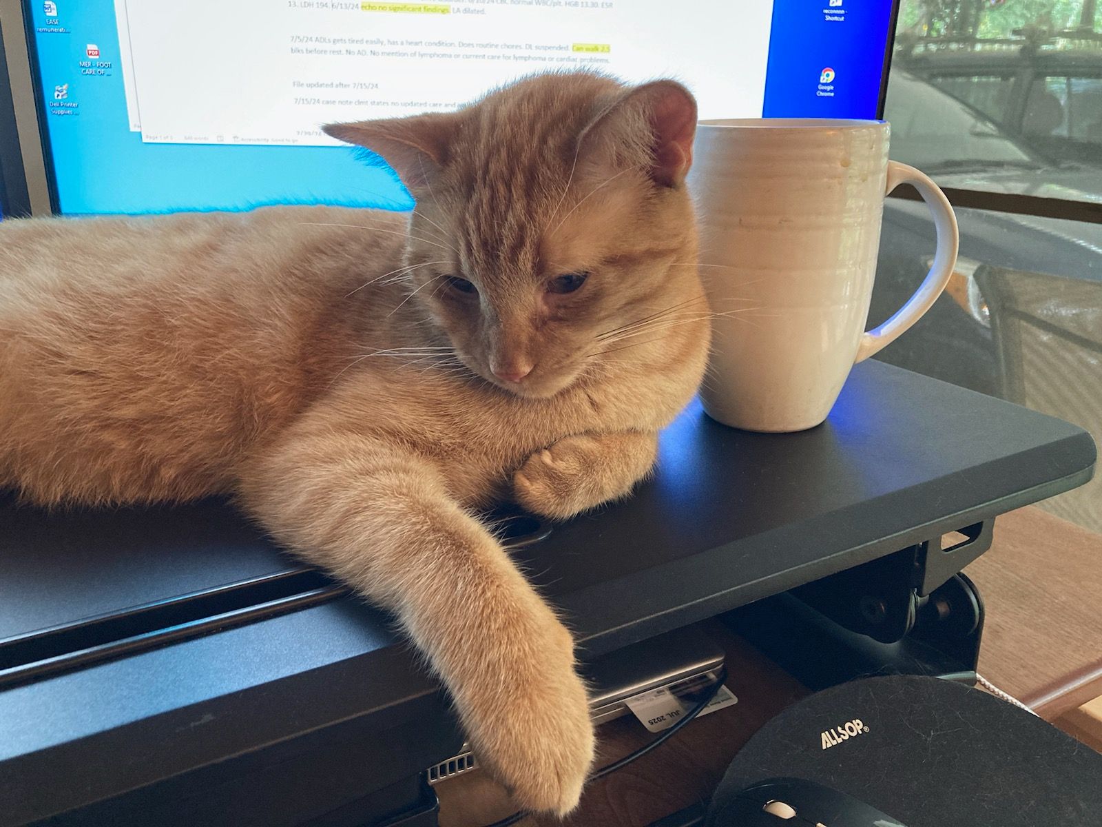 click for larger size